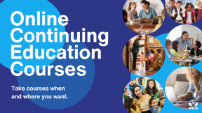 Graphic reading "Online Continuing Education Courses" with the VESi logo in the bottom right corner and photos of educators with students along the right side.